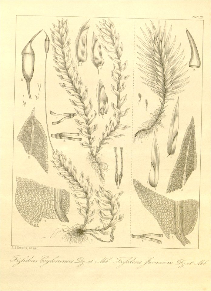 n18_w1150
