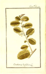 n104_w1150