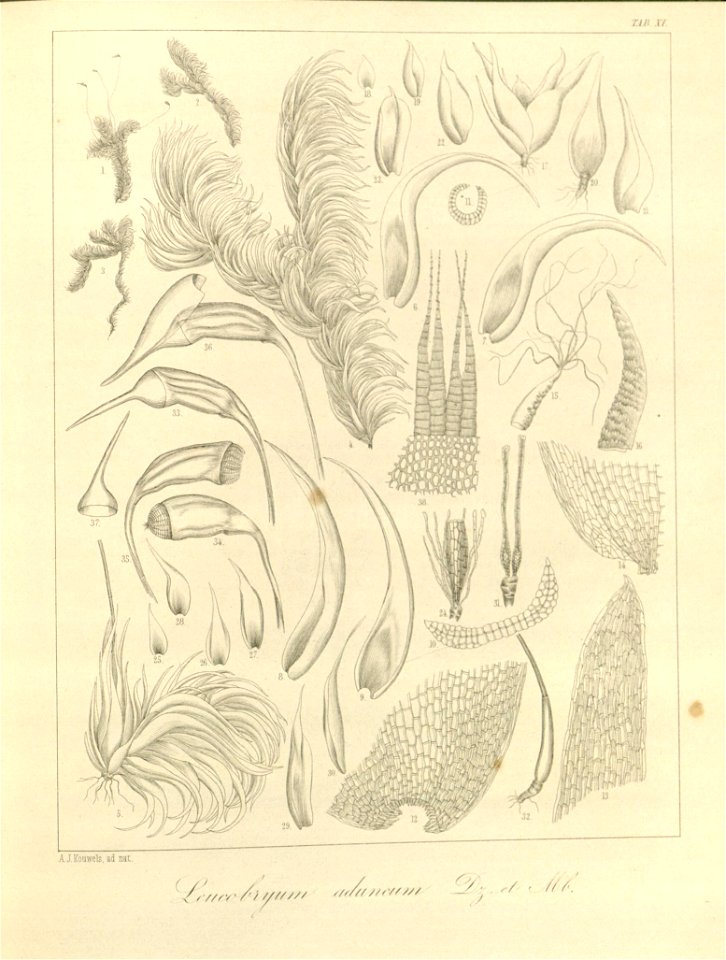 n45_w1150