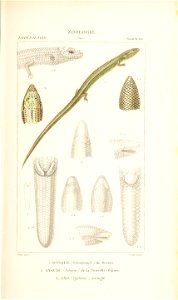 n136_w1150
