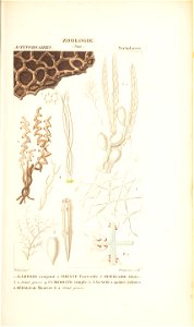 n166_w1150