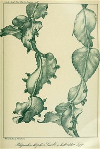 n328_w1150
