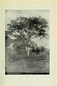 n90_w1150