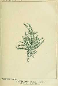 n326_w1150