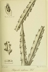 n194_w1150