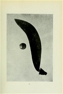n88_w1150