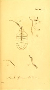 n176_w1150