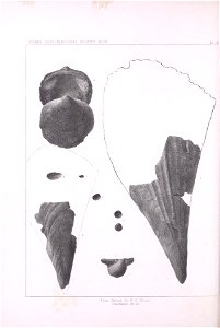 n469_w1150