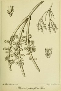 n158_w1150