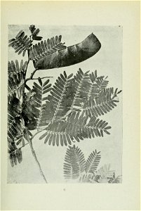 n82_w1150