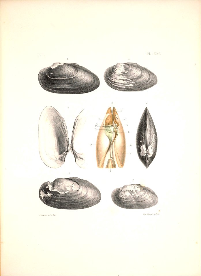 n478_w1150