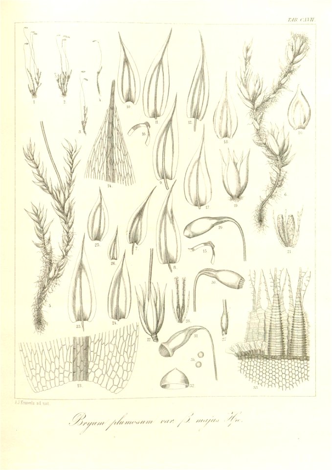 n298_w1150