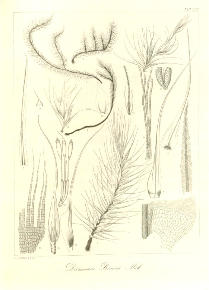 n156_w1150