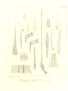n84_w1150