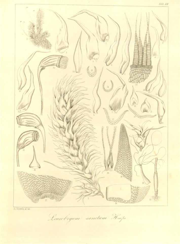 n46_w1150