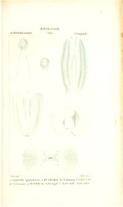 n168_w1150