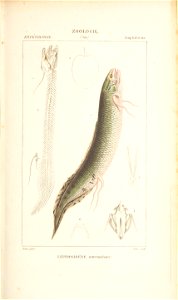 n138_w1150