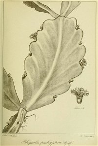 n172_w1150