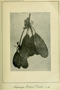 n272_w1150