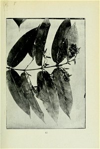 n94_w1150