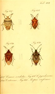 n122_w1150