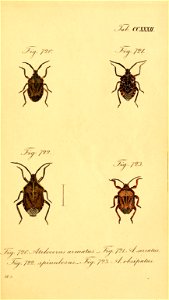 n178_w1150