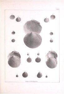 n248_w1150