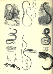 n121_w1150