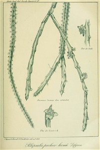 n318_w1150