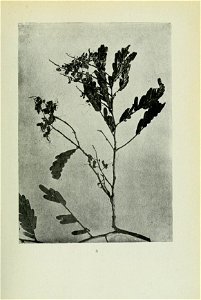 n80_w1150