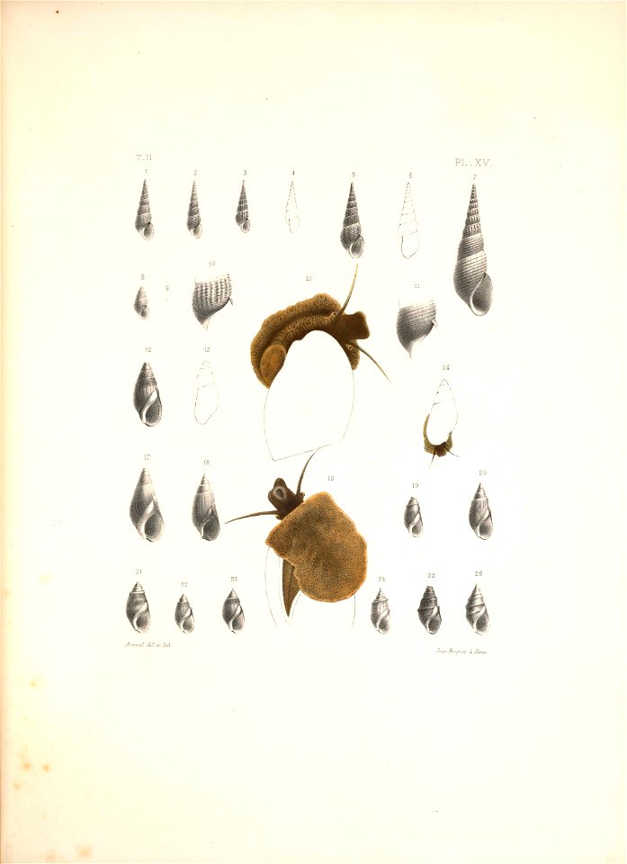 n454_w1150