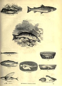 n162_w1150