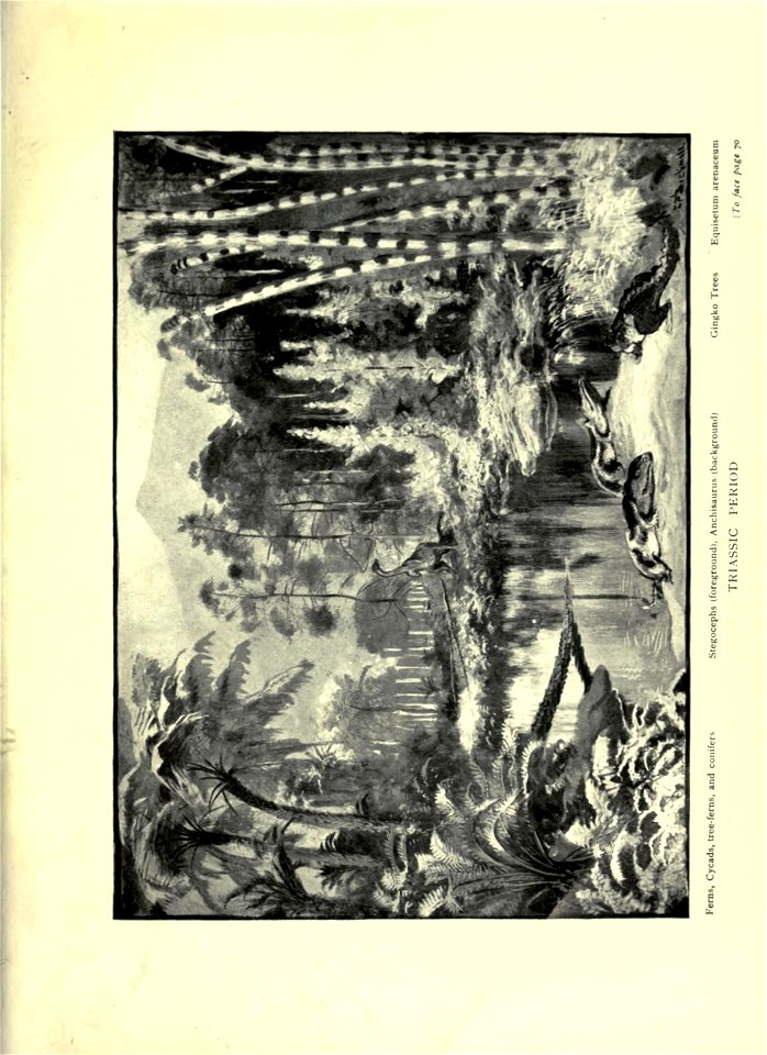 n114_w1150