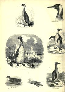 n69_w1150