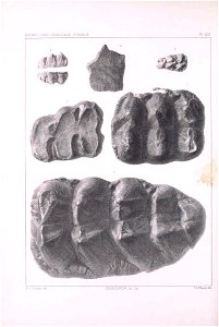 n517_w1150