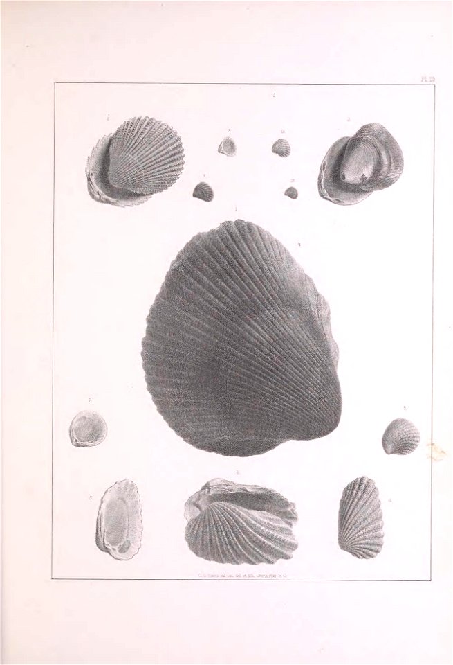 n252_w1150