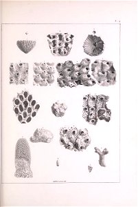 n192_w1150