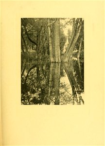 n534_w1150