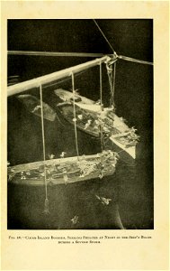 n358_w1150