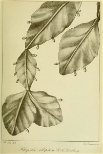 n174_w1150
