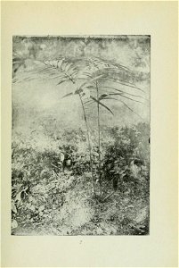 n68_w1150