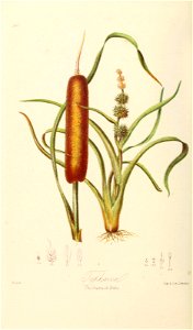 n393_w1150