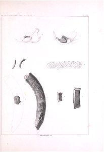 n526_w1150