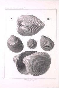 n475_w1150