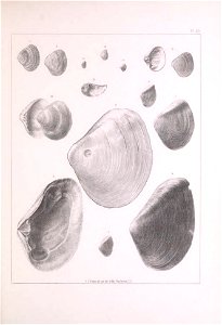 n256_w1150