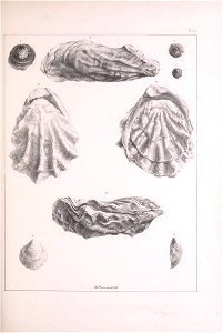 n196_w1150