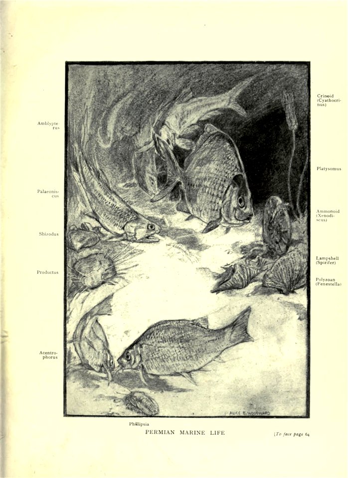 n106_w1150