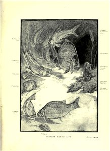 n106_w1150