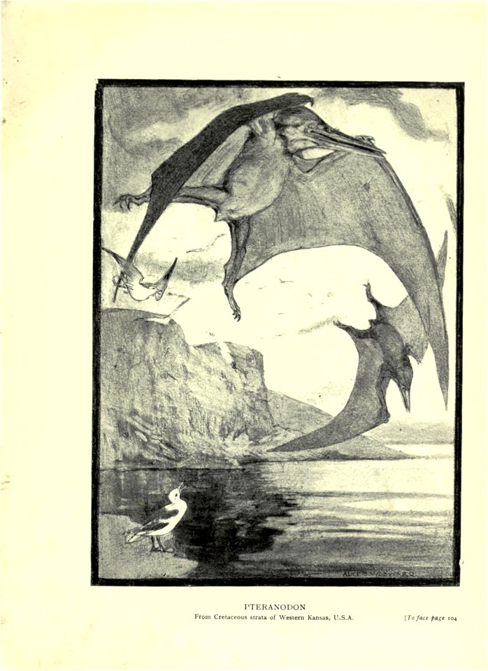 n176_w1150
