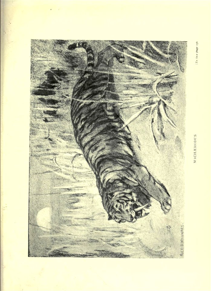 n256_w1150